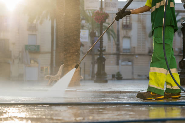 Best Dumpster Area Cleaning  in Lake Ronkonkoma, NY